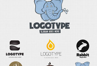 在线DDOS平台攻击